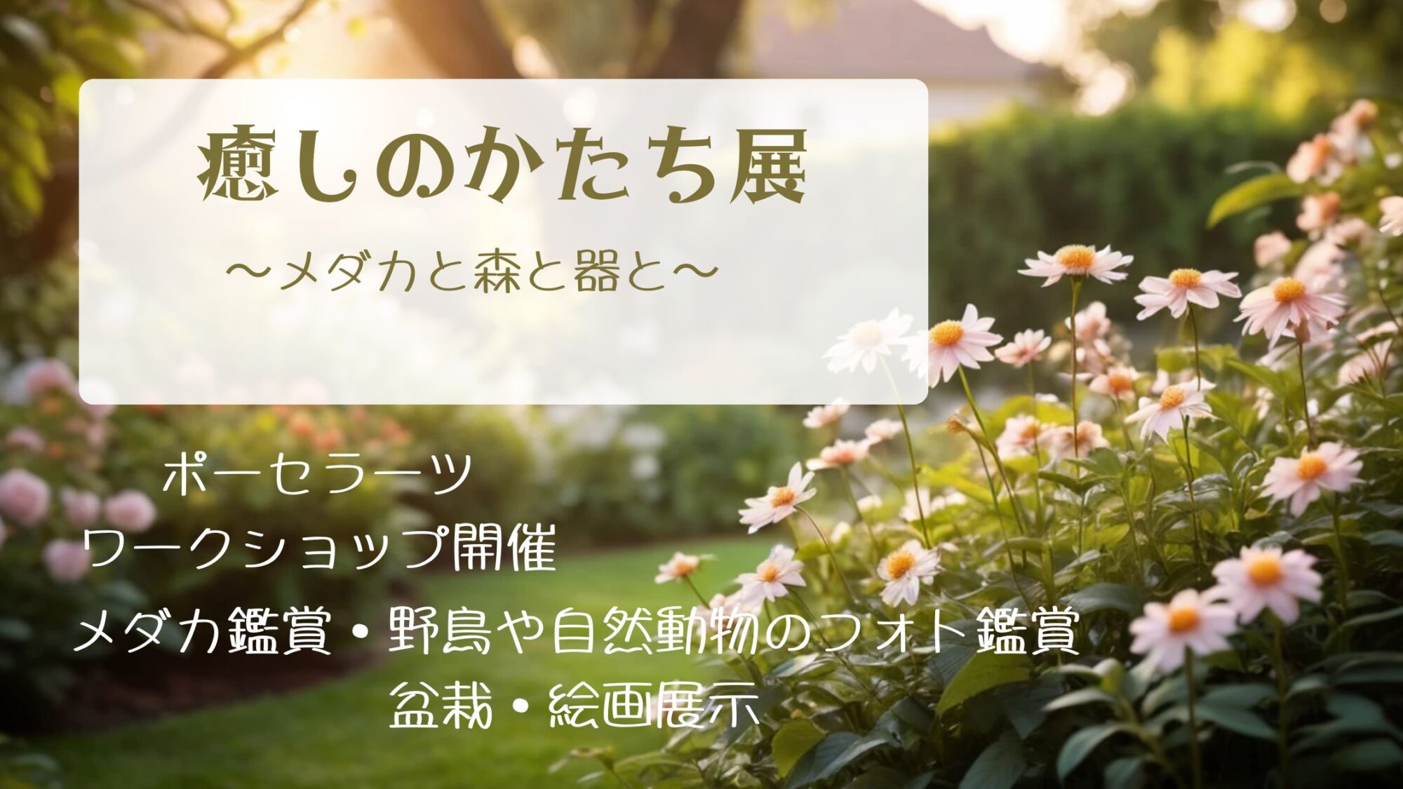 メダカと森と器イベント開催