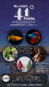 41℃Festa